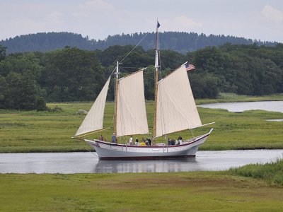 Ardelle in the Marsh